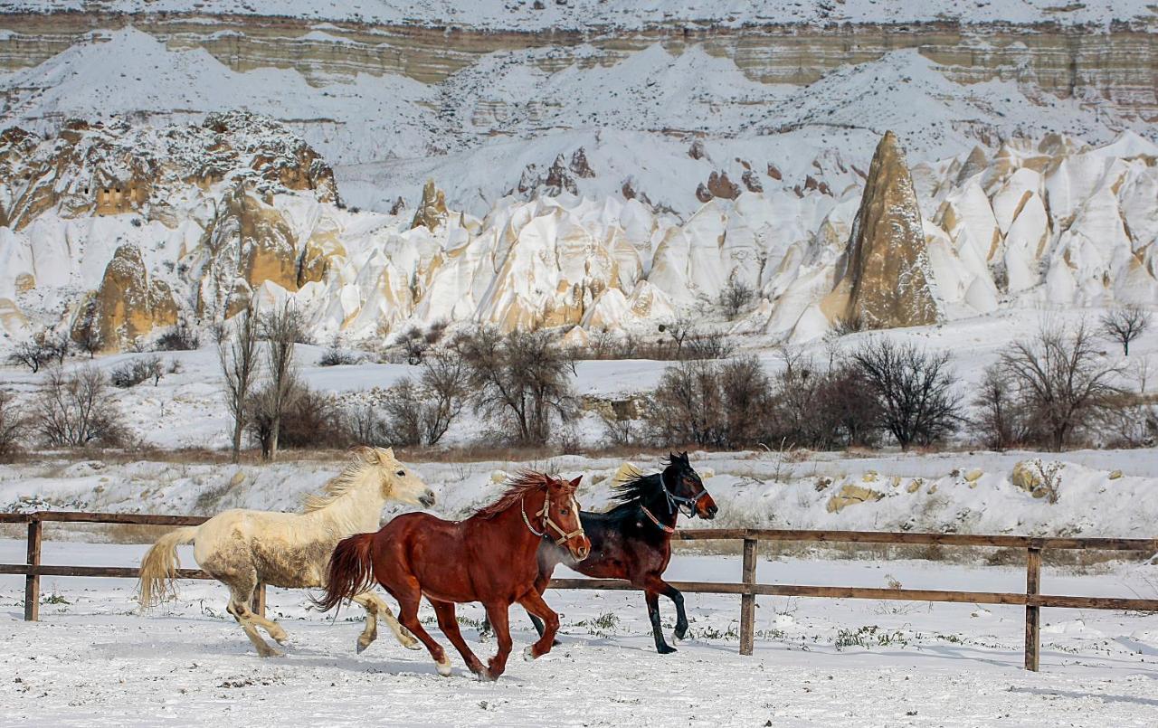 Elaa Cave Hotel Ortahisar Екстер'єр фото